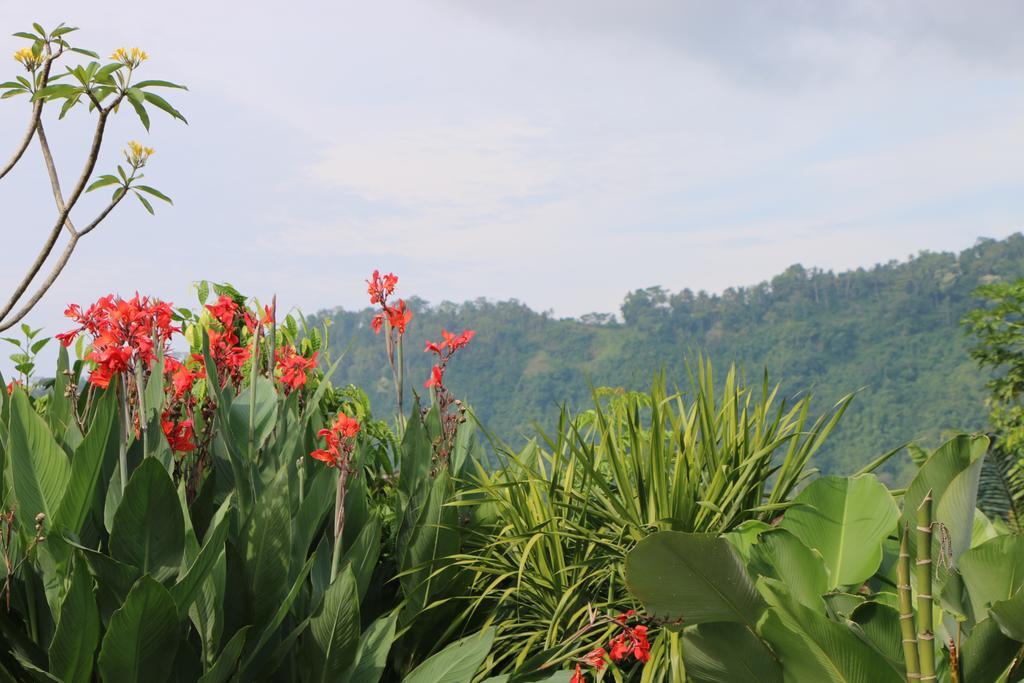 Kanda Homestay Sidemen  Bagian luar foto